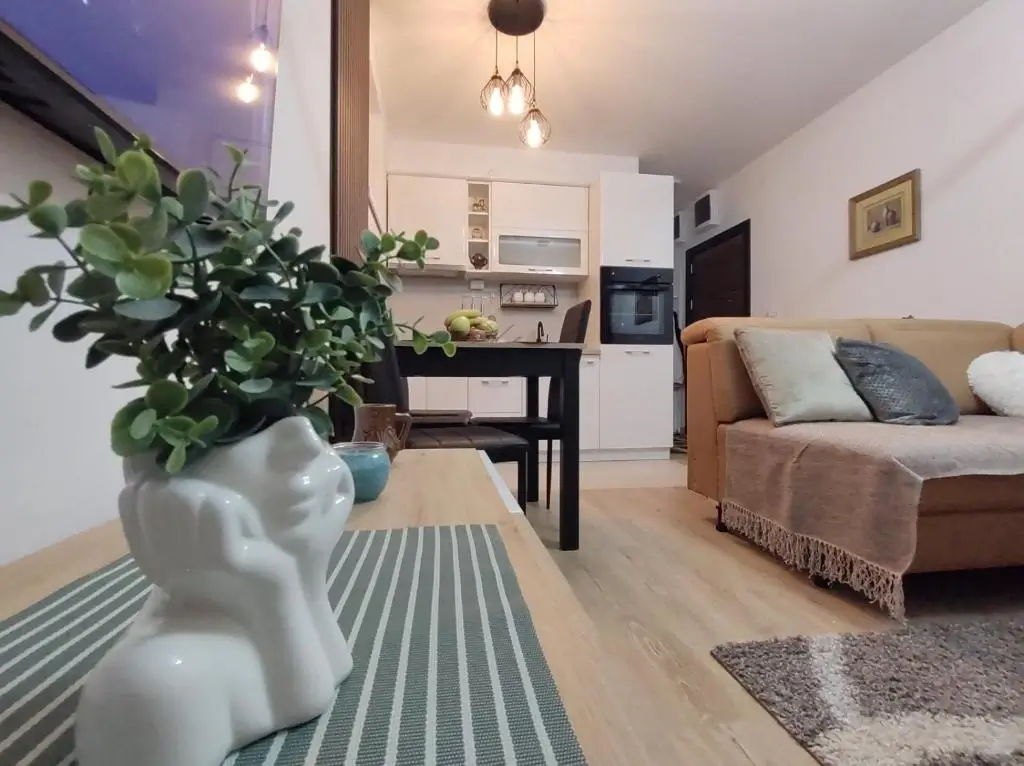 Kompletna dnevna soba apartmana Jeca u Vrnjačkoj Banji