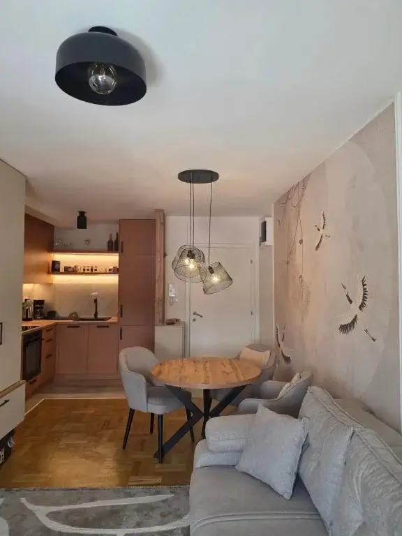 Dnevni boravak iz ugla terase sa pogledom na kuhinju i hodnik apartmana Shanti Stay u Vrnjačkoj Banji